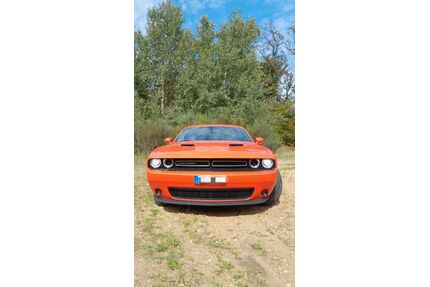 Dodge Challenger Gebrauchtwagen