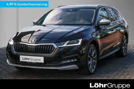 Skoda Octavia Gebrauchtwagen