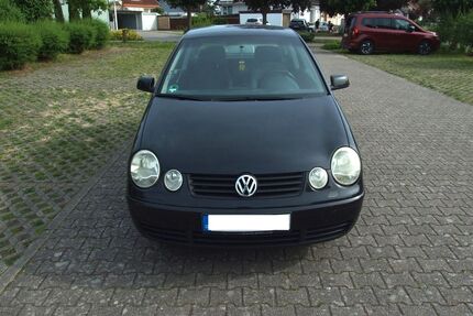 VW Polo Gebrauchtwagen
