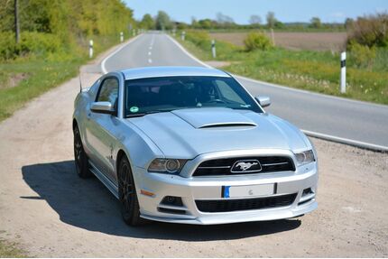 Ford Mustang Gebrauchtwagen