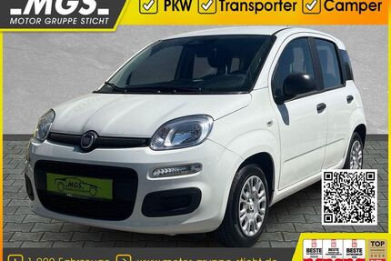 Fiat Panda Gebrauchtwagen