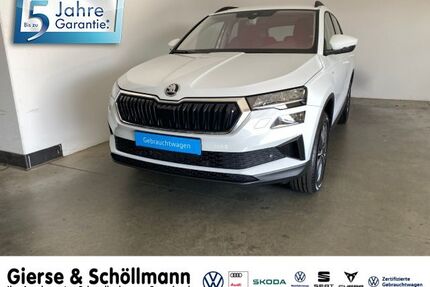 Skoda Karoq Gebrauchtwagen