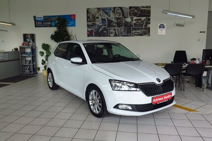 Skoda Fabia Gebrauchtwagen
