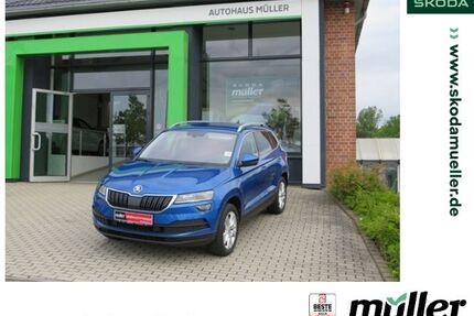 Skoda Karoq Gebrauchtwagen