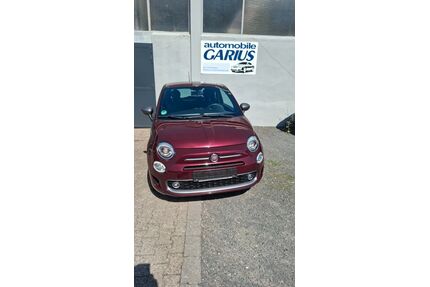 Fiat 500 Gebrauchtwagen
