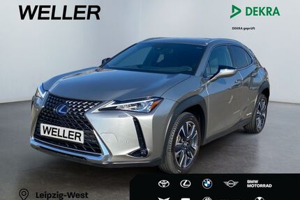 Lexus UX Gebrauchtwagen
