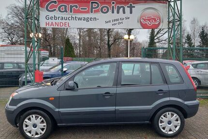 Ford Fusion Gebrauchtwagen