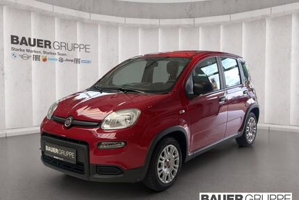Fiat Panda Gebrauchtwagen