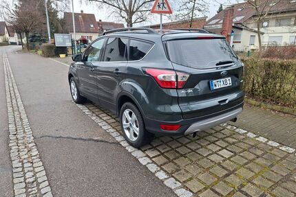 Ford Kuga Gebrauchtwagen