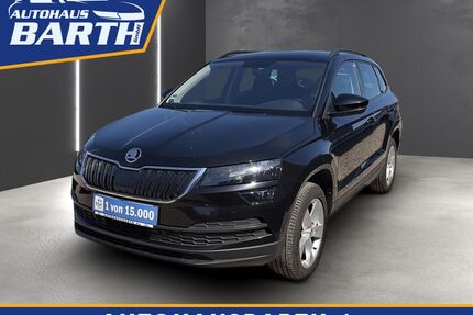 Skoda Karoq Gebrauchtwagen