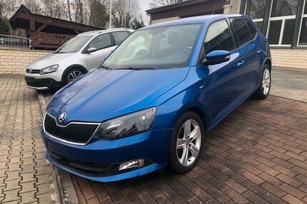 Skoda Fabia Gebrauchtwagen