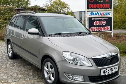 Skoda Fabia Gebrauchtwagen