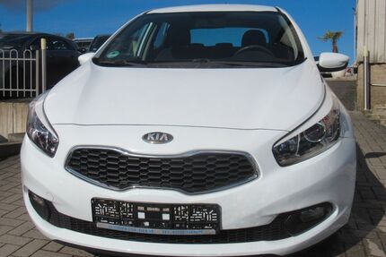 Kia ceed / Ceed Gebrauchtwagen