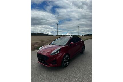 Ford Puma Gebrauchtwagen