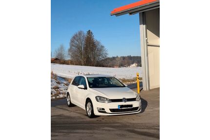VW Golf Gebrauchtwagen