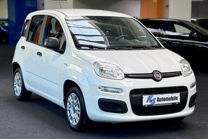 Fiat Panda Gebrauchtwagen