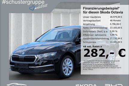 Skoda Octavia Gebrauchtwagen
