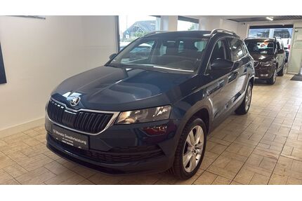 Skoda Karoq Gebrauchtwagen