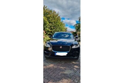 Jaguar F-Pace Gebrauchtwagen