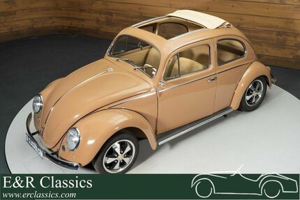 VW Käfer Gebrauchtwagen