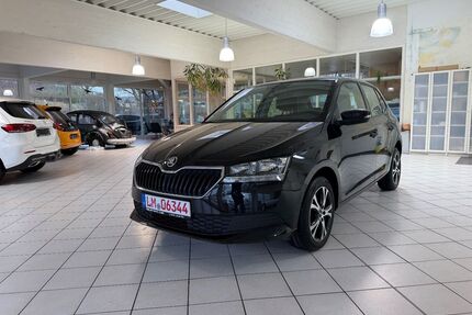 Skoda Fabia Gebrauchtwagen