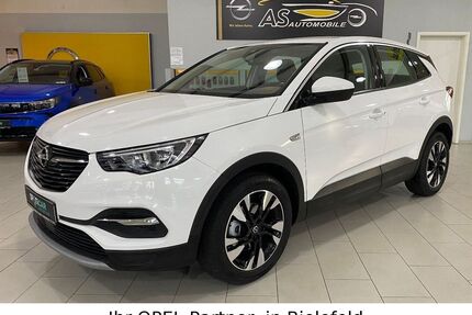 Opel Grandland (X) Gebrauchtwagen