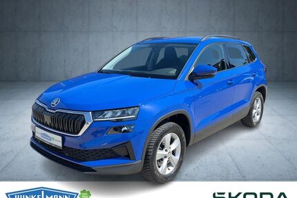 Skoda Karoq Gebrauchtwagen