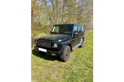 Mercedes-Benz G 500 Gebrauchtwagen