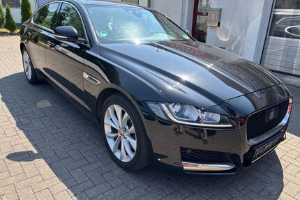 Jaguar XF Gebrauchtwagen