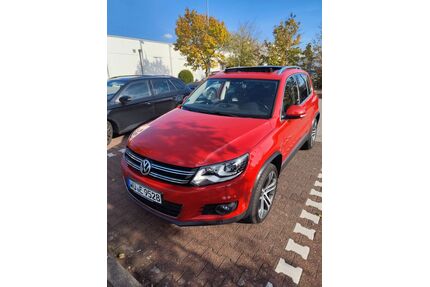 VW Tiguan Gebrauchtwagen