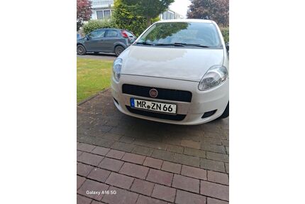 Fiat Punto Gebrauchtwagen