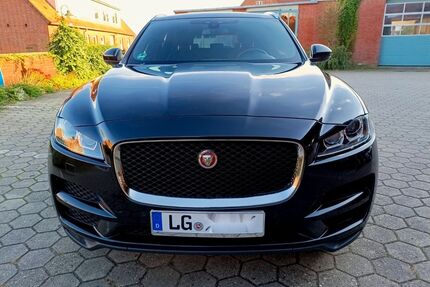 Jaguar F-Pace Gebrauchtwagen