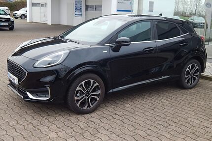 Ford Puma Gebrauchtwagen