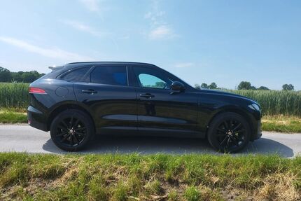 Jaguar F-Pace Gebrauchtwagen