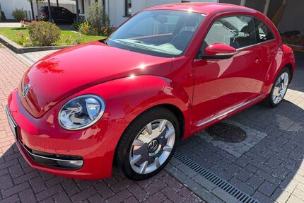 VW Beetle Gebrauchtwagen