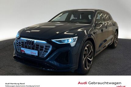 Audi Q8 e-tron Gebrauchtwagen
