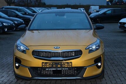 Kia XCeed Gebrauchtwagen