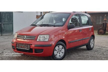 Fiat Panda Gebrauchtwagen