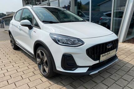 Ford Fiesta Gebrauchtwagen