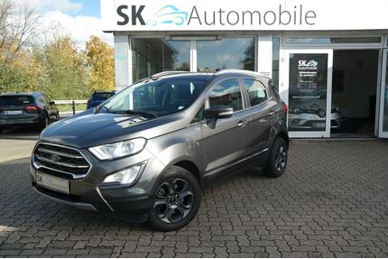 Ford EcoSport Gebrauchtwagen