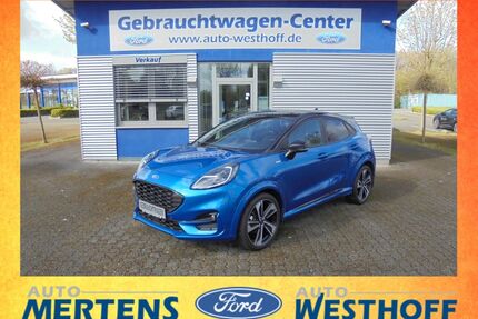 Ford Puma Gebrauchtwagen