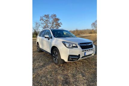 Subaru Forester Gebrauchtwagen