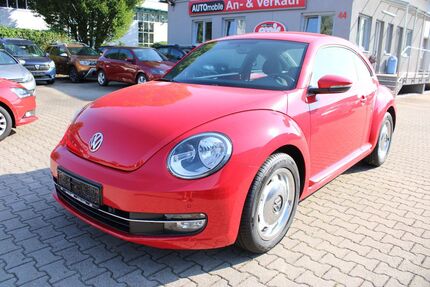VW New Beetle Gebrauchtwagen