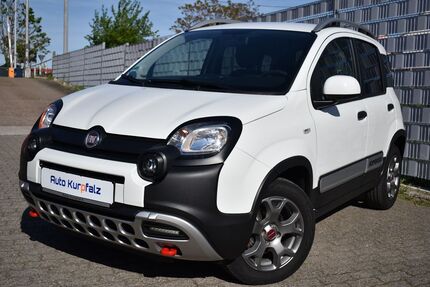 Fiat Panda Gebrauchtwagen