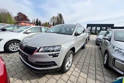 Skoda Karoq Gebrauchtwagen