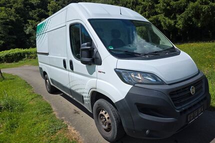 Fiat Ducato Gebrauchtwagen