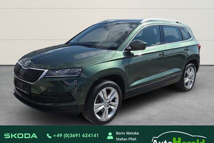 Skoda Karoq Gebrauchtwagen