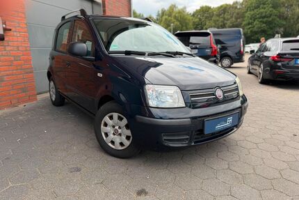 Fiat Panda Gebrauchtwagen