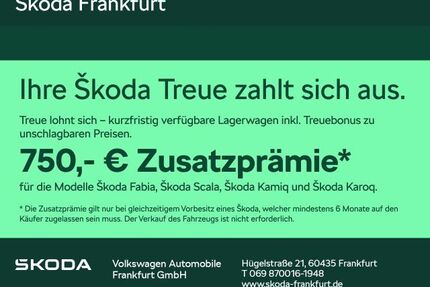 Skoda Fabia Gebrauchtwagen