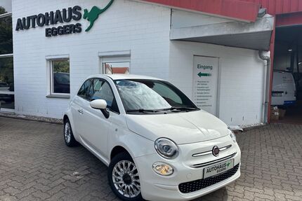 Fiat 500 Gebrauchtwagen